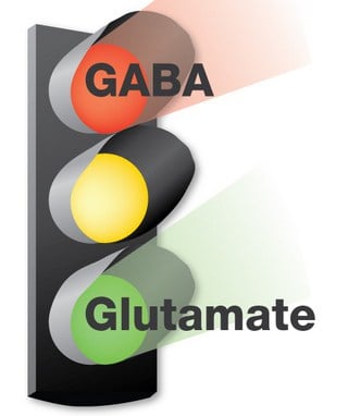 illustration of a gaba-glutamate stop light signal