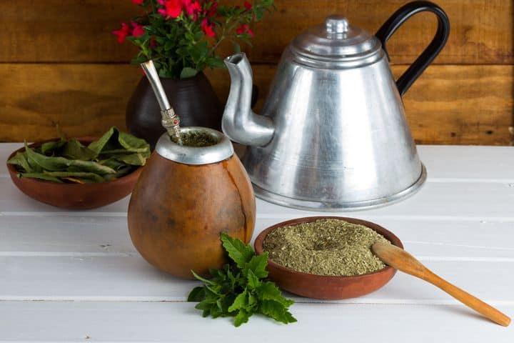 Properties of yerba mate